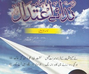 Nidae Aetidal November 2016